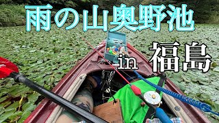 9月 雨の山奥野池【フロッグプロダクツ 】 [upl. by Leticia]