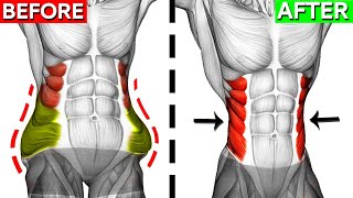 Dont Miss These 10 Perfect Oblique Exercises 🎯 [upl. by Zurheide]