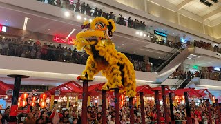 4KHDR Aksi Barongsai Tonggak di Green Sedayu Mall  Lunar Year 2024 [upl. by Nettie387]