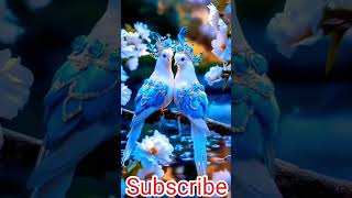 Cute beautiful bird  ai Birds  birds shorts videoShorts birdslover aiart pets [upl. by Blodgett]