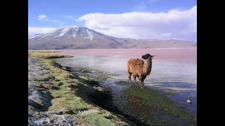 Andean traditional folk music  SurazoBolivia  Imillitay [upl. by Dix14]