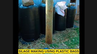 SILAGE MAKING PROCESS [upl. by Tiana583]