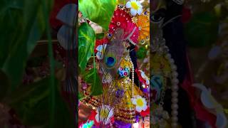 Ho gaya hai tumse Pyaar ♥️✨  krishna krishnabhajan radhakrishna laddugopal sagnikadevotional [upl. by Anitnegra133]