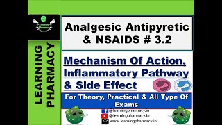 32  Mechanism Of Action amp Side Effects of Analgesic Antipyretic amp NSAIDS DCMA Tutorial in Hindi [upl. by Genet484]