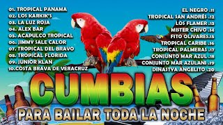 CUMBIAS EXITOS PARA BAILAR TODA LA NOCHE💃🕺TROPICALES MIX 2024🎶CUMBIAS MIX 2024 [upl. by Diraf]