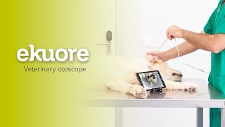 How to use the digital veterinary otoscope  eKuore Mobile Health Devices [upl. by Aromas808]