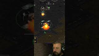 Look at this positioning by RoyaL  falconpaladin on Twitch YouTube broodwar starcraft [upl. by Ardnuek]