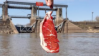 Catching 100 LBS of MONSTER CATFISH BIG Fish [upl. by Naujat]