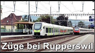 Personen und Güterzüge beim Bahnhof Rupperswil [upl. by Genisia873]