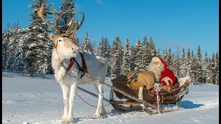 Joulupukin matkaan lähtö Korvatunturilta 🦌🎅 Joulupukin rekiajelu  Joulupukki amp poro Lappi joulu [upl. by Revart]