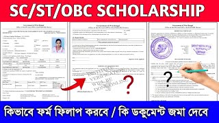 Oasis Scholarship Form Fill Up 2024  SC ST OBC Scholarship form fill up 2024  oasis form fill up [upl. by Brien]