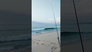 Beach Fishing at Haycock in Pambula beachfishing fishingaustralia justfishing [upl. by Ianthe150]