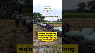 Kahit nahihirapan tayu sa buhay dapat maging matibay tayo sa lahat lahat♥️🙏viralshorts viralvideo [upl. by Darsey]