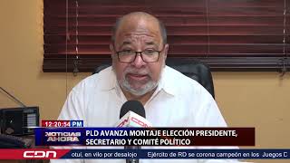 PLD avanza montaje elección presidente secretario y comité político [upl. by Harman]