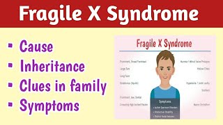 Fragile X Syndrome Symptoms Causes amp Inheritance [upl. by Ranchod]