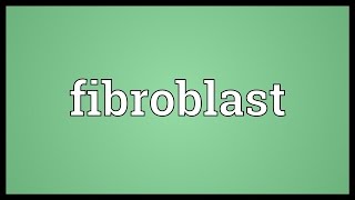 Fibroblast Meaning [upl. by Ebbarta]