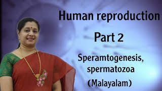 HUMAN REPRODUCTIONPART2 MALAYALAM SPERMATOGENESIS AND SPERMATOZOA [upl. by Derfliw]