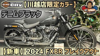 【川越店限定カラー】2024年式FXBR「ブレイクアウト」新色ブラックデニム！オリジナルで塗りました！【川越スタイル】 [upl. by Novehc]