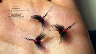 Tying the CDC Black Caenis by Davie McPhail [upl. by Adest212]