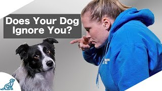 Are You Accidentally Being A BAD Leader For Your Dog [upl. by Patrizia537]