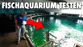 Claude testet ein 4000000 Liter Aquarium  Hinter den Kulissen des Nordsoenaquariums in Dänemark [upl. by Anaic772]