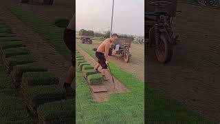 Green lawn mining process work workingvideo heavymachinery technology machinery [upl. by Ahdar571]