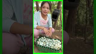 Check the quality of organic free range eggs [upl. by Anitniuq]