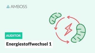 Energiestoffwechsel Teil 1  Woher bezieht der Körper seine Energie  AMBOSS Auditor [upl. by Utta]