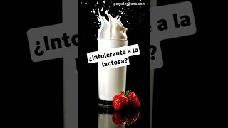 ¿Eres intolerante a la lactosa shorts lechedealmendras lechedecoco lechedeavena leche govegan [upl. by Ahsim573]