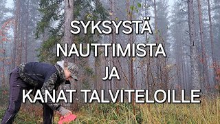 Syksystä nauttimista ja kanat talviteloille [upl. by Bushweller]