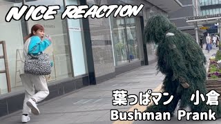 BEST Bushman Prank JAPAN 葉っぱマン【ドッキリ】ブッシュマンドッキリ動画日本🇯🇵10 [upl. by Shurlock663]