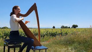 Turlough OCarolan quotGeorge Reynoldsquot on Celtic Harp Keltische Harfe [upl. by Joerg235]