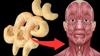 The untold truth about cashews Poisonous [upl. by Jacobson761]