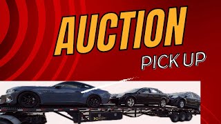 Manheim auto auction drop off bought sight unseen [upl. by Rasia436]