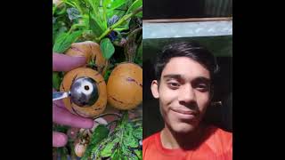 Reaction food ✅✅✅ naturallifeb fruit satisfying naturalclips naturelife fruitcutting jackfr [upl. by Haimehen502]