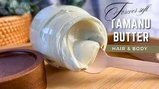 ✨How I Made Body Butter that stays Silky amp Soft Forever  DIY Tamanu Hair amp Body Butter [upl. by Arorua]