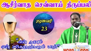 230124செவ்வாய் திருப்பலிTuesday Tamil MassMass todayDaily massHoly massArulthedalFr Manuvel [upl. by Attiuqal]