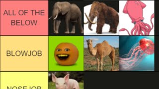 Animal Tier List [upl. by Essenaj]