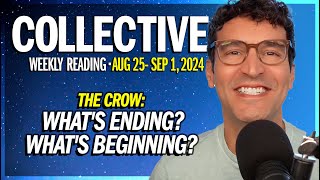 Weekly Collective Reading • Aug 24 to Sep 1 2024 • The Crow Whats Ending Whats Beginning [upl. by Gifford989]