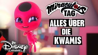 Alles über die Kwamis  MIRACULOUS 🐞🐱 [upl. by Angy]