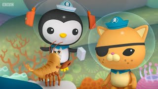 Octonauts  The Snapping Shrimp  Full Episode [upl. by Atilamrac603]