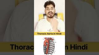 Thoracic Aorta In Hindi quiz anatomy [upl. by Zelig]