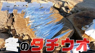 【太刀魚釣り】真冬の川でタチウオ爆釣。どうなってんの [upl. by Eilyw]