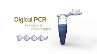 Digital PCR Principle amp Advantages [upl. by Boiney]