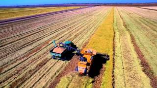 High Definition California Rice Harvest [upl. by Icyak936]