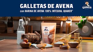 Galletas de Avena Receta extendida [upl. by Annawyt]