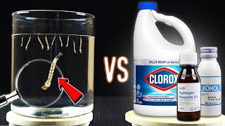 EXPERIMENT MOSQUITO LARVAE VS CHEMICAL LIQUID  How to Get Rid Mosquito Larvae [upl. by Petulah]