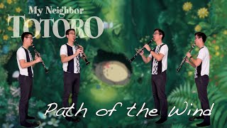 Path of the Wind  My Neighbor Totoro Clarinet Cover [upl. by Neelyaj]