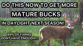 START WORK ON THIS NOW TO MAKE BIG BUCKS USE UR FARM NEXT DEER SEASON [upl. by Gnov]