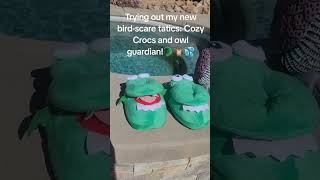 Trying out my new birdscare tatics Cozy Crocs and Owl Guardian 🐊🦉💦 [upl. by Gilleod574]